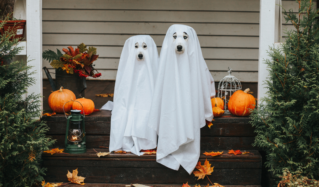 Image for Halloween at the Fire Hall